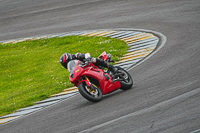 Middle Group Red Bikes